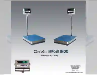 Cân thủy sản 200kg - thiết bị hiện đại và tiện lợi