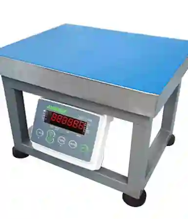 Cân ghế ngồi JWI3000