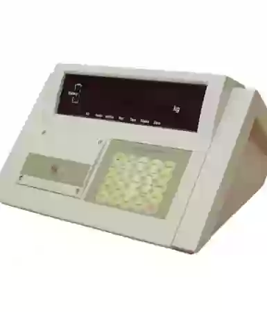 Đầu cân XK3190 - D10