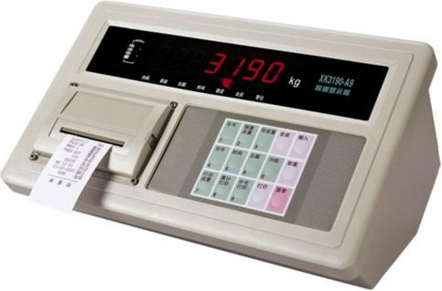 Đầu cân XK3190 - A9