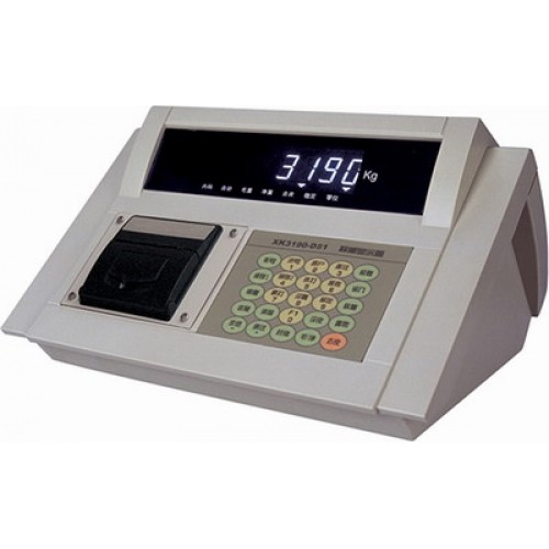Đầu cân XK3190 - DS1