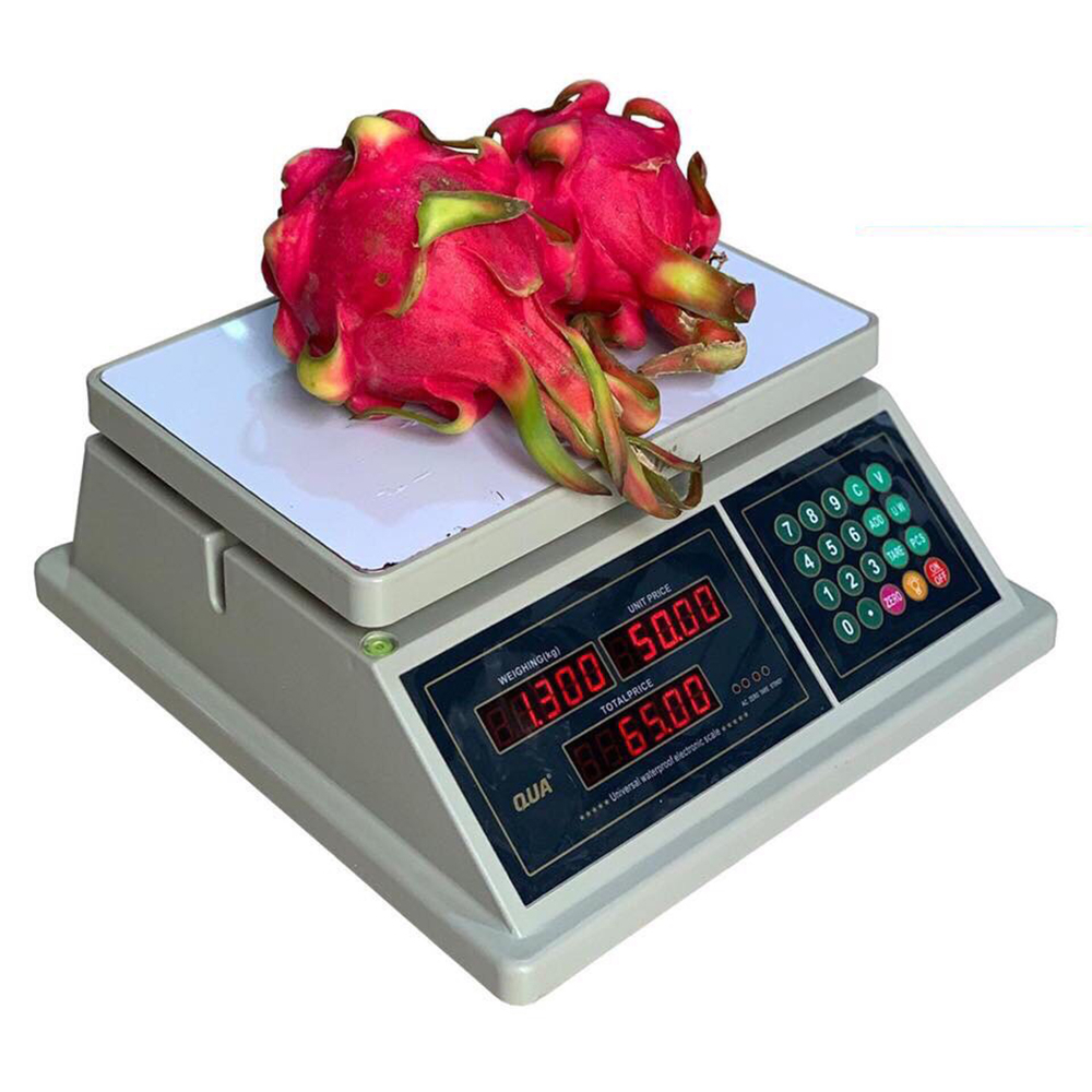 cân tính tiền in hóa đơn