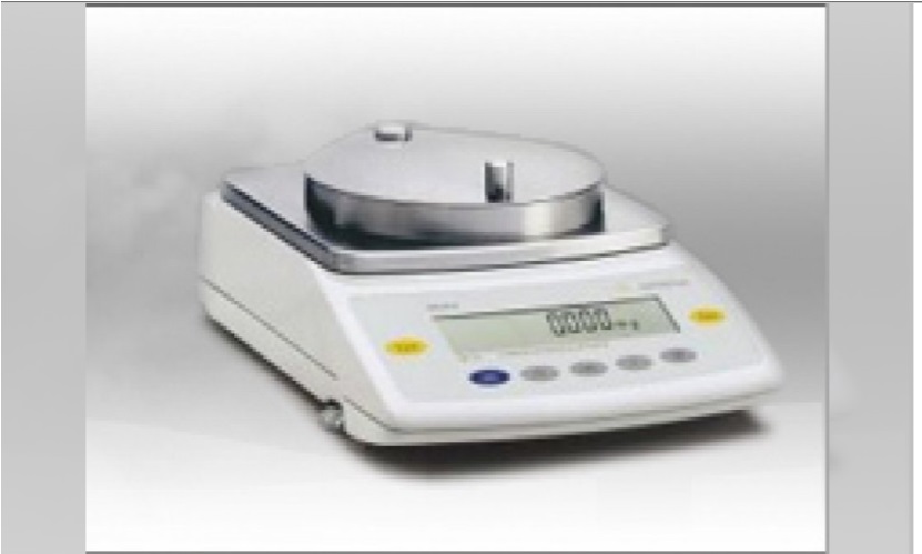 Cân điện tử SARTORIUS
