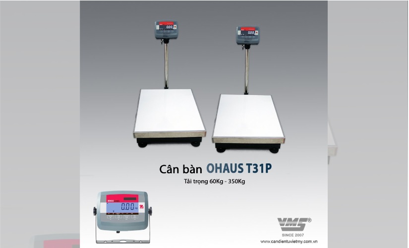cân sàn t31p