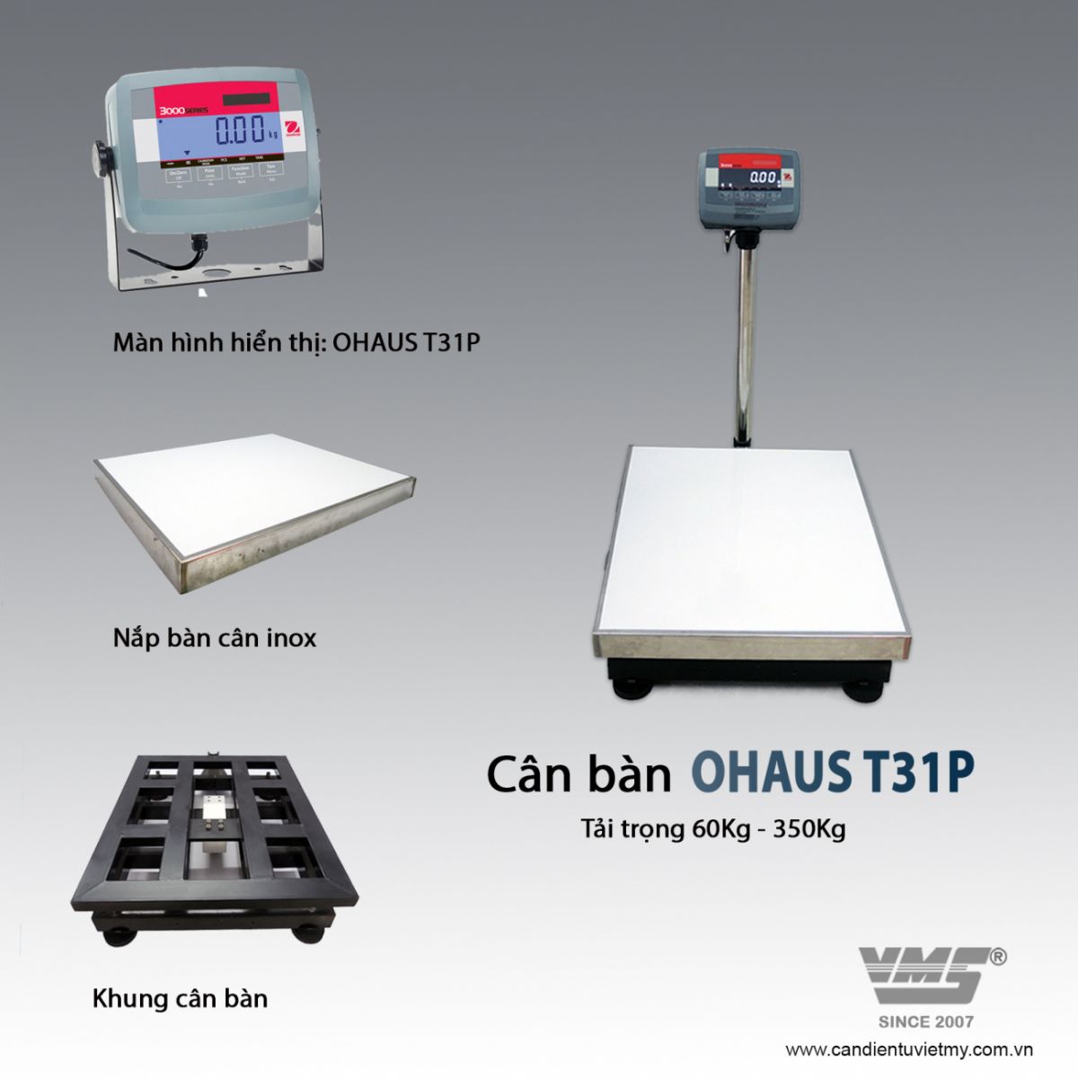 cân điện tử ohaus 